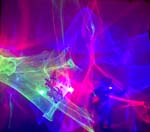 IMG_4541